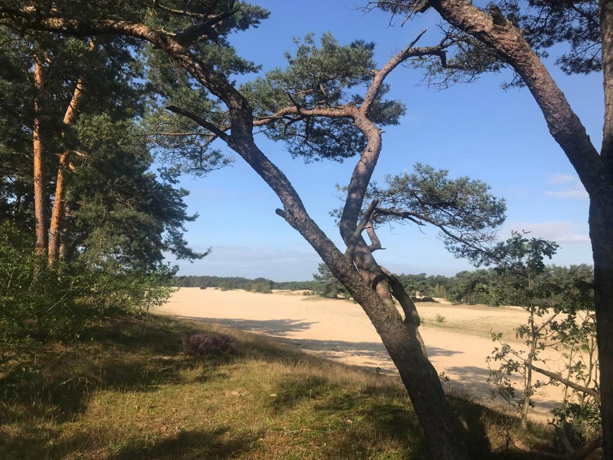 Boshuisje Veluwe Mels Place Doornspijk Exteriör bild